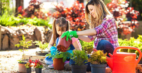 2022园艺数据报告|千禧一代成主力军,美国市场高达百亿规模