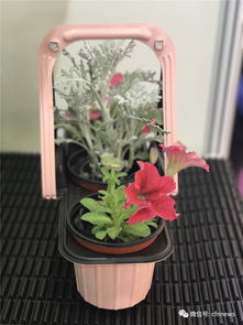 美得很 充满创意的家庭园艺产品