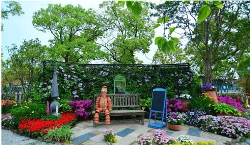 上海梦花园市民绿化节家庭园艺秀让鲜花装点生活 让园艺成就梦想