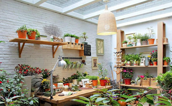 养花与阳台小气候