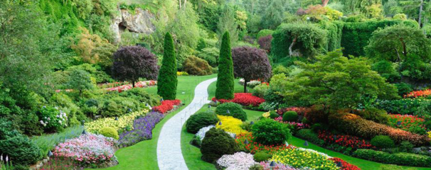 从植物配置看景观设计