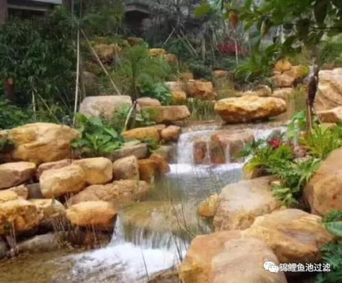 先懂鱼池过滤,再谈养鱼
