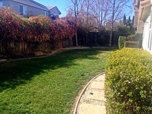 馨的园艺生活 后院第一次改造记