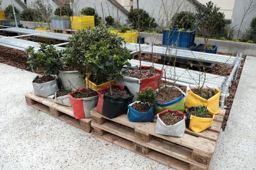 像植物一样有机生长 跟Freitag学可持续更新与园艺智慧