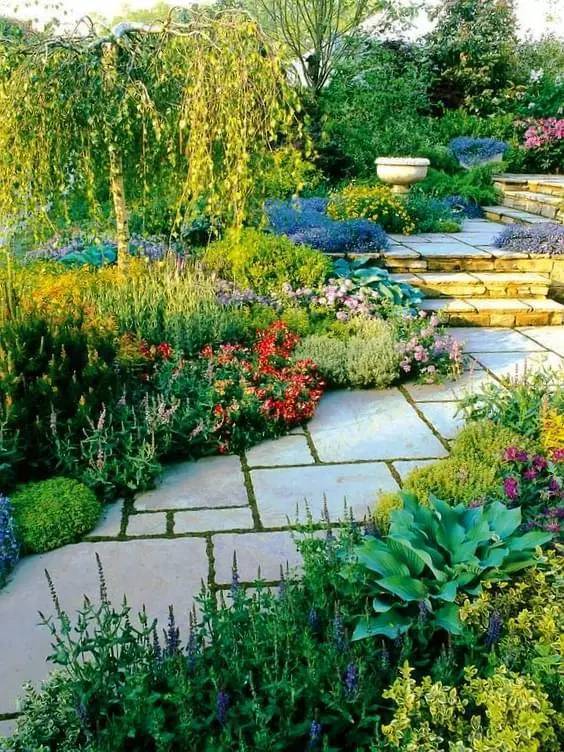 庭院设计之花境——那不可描述的美