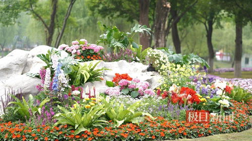 观奇花，学园艺 世界花园大会引领花卉与园艺新风尚