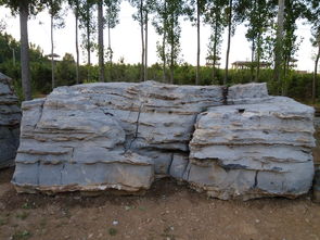 河北易县远东园艺商贸 打造精致园林景观与自然美学