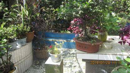 楼顶花园 都市绿洲中的家庭园艺新天地