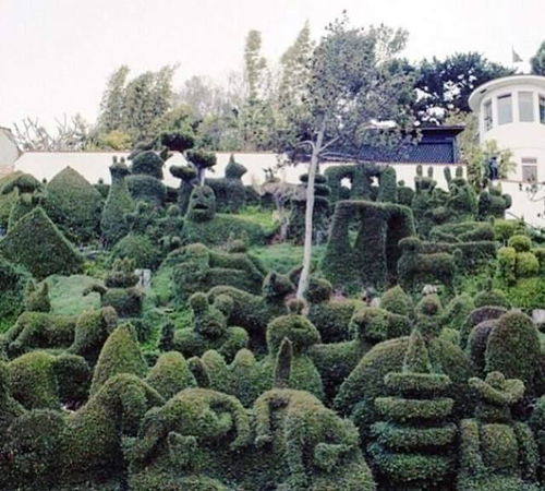 33张活久未见的园艺照片 匠心独运还是自然之殇？