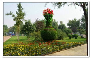 绽放商机 2019日本园艺劳保用品、切花与花卉种苗展览会深度解读