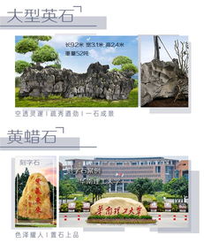 英德市望埠镇景盛园艺奇石场 匠心独运的园艺与奇石供应商