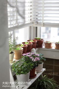 2013阳台家庭园艺装修效果图 城市绿洲的灵感与实现