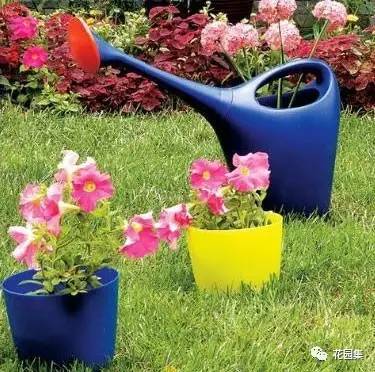 九件园艺工具，打造梦想中的完美庭院